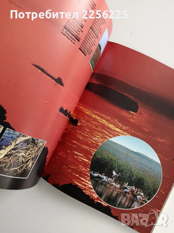 България - Природно наследство, снимка 4 - Енциклопедии, справочници - 52865713