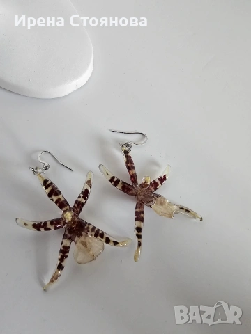 Обеци с естествен цвят на орхидея Brassia, снимка 9 - Обеци - 53662889