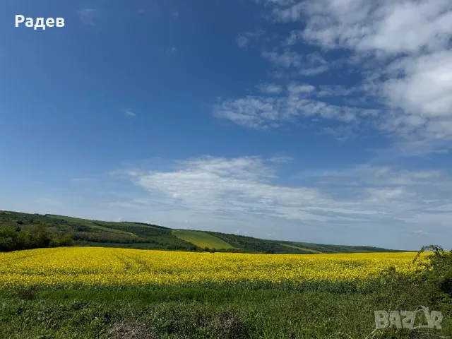 Купувам земя в Помен, Баниска и Могилино, снимка 1 - Земеделска земя - 47236044