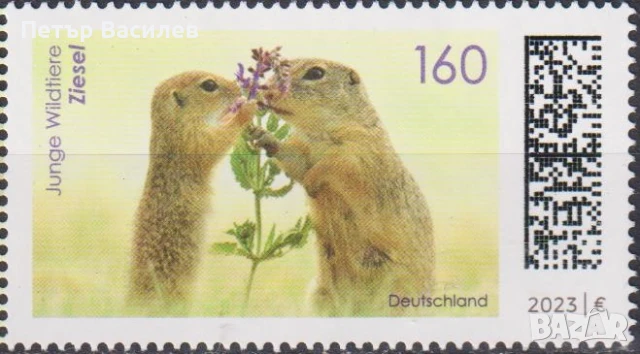 Чистa маркa Фауна Земна катерица Гофер 2023 от Германия