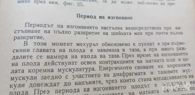 Книга за бременни и майки - Г. Стоименов, Р. Семерджиева, снимка 6 - Художествена литература - 46851588