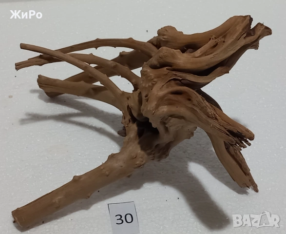 Корен от Азалия /декорация/ 30, снимка 4 - Други - 54093427