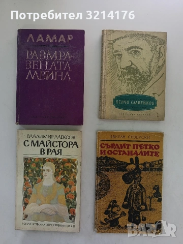 С Майстора в рая - Владимир Алексов