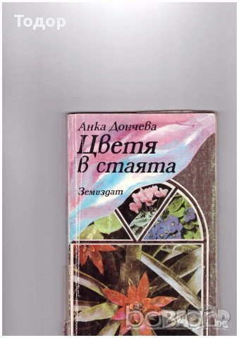 овощарство цветя готварство продукти пчели мед растения техническа автомобили лечение аптека кафе, снимка 7 - Други - 51889407