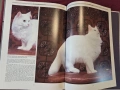 Енциклопедия на котките / The Encyclopedia of Cats, снимка 13