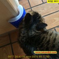 Масажираща четка за ъгли за котки - КОД 3831, снимка 10 - Други стоки за дома - 45419059