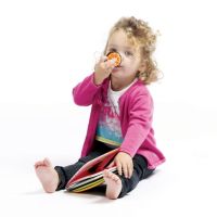 Ludi  - Книжка с мирис на плодове - Сензорна книжка за малки деца, 1+, снимка 2 - Образователни игри - 45360616