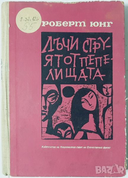 Лъчи струят от пепелищата. История на едно възраждане, Роберт Юнг(10.5), снимка 1