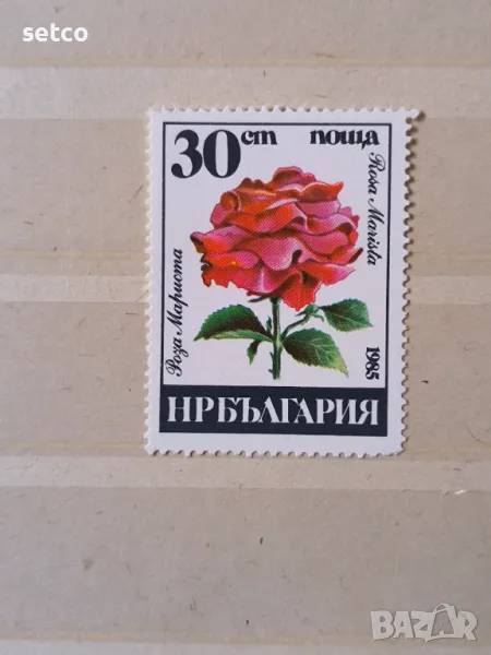 България 1985 Български рози, снимка 1