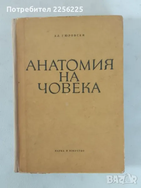 Анатомия на човека , снимка 1