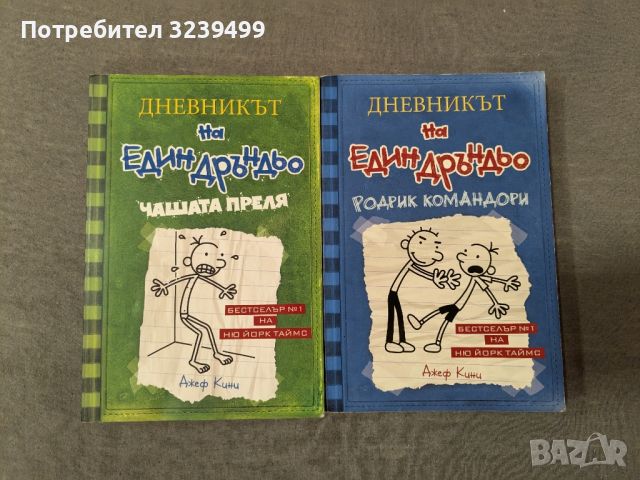 Дневникът на един Дръндьо, снимка 1 - Художествена литература - 46663955