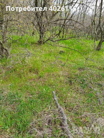 Продавам парцел в местност Старите лозя  