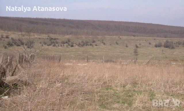 Парцел за продажба в Сърнец, област Добрич, снимка 3 - Парцели - 53656540