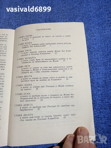 Анатол Франс - Пчелица , снимка 5 - Детски книжки - 54239176