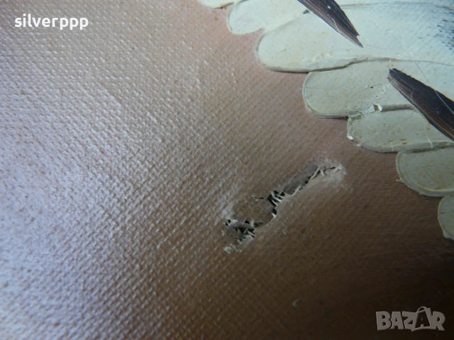  Картина - испанска циганка , снимка 6 - Антикварни и старинни предмети - 50569766