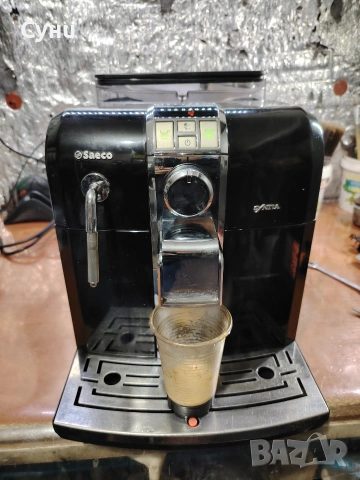 саеко синтия