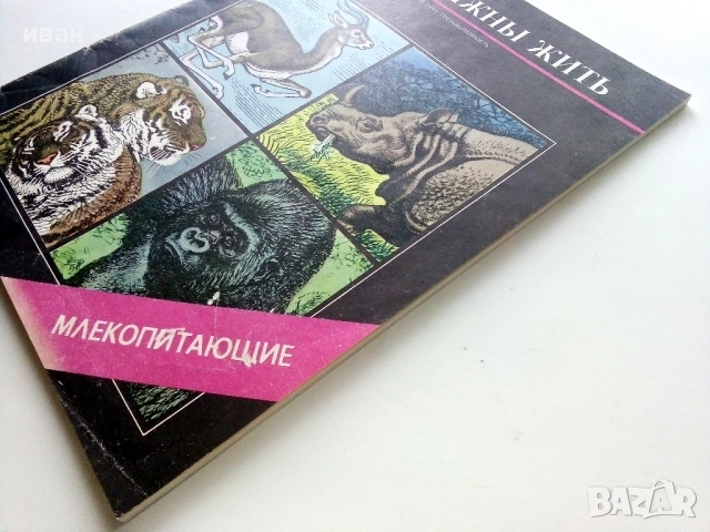 Они должны жить - Млекопитающие - М.В.Черкасова - 1982г., снимка 14 - Енциклопедии, справочници - 53111114