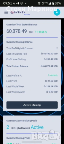 Bytnex , снимка 4 - Надомна работа - 53679846