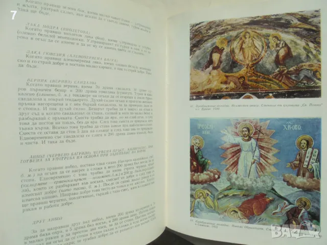 Книга Ерминии. Технология и иконография - Асен Василиев 1976 г., снимка 3 - Други - 49124318