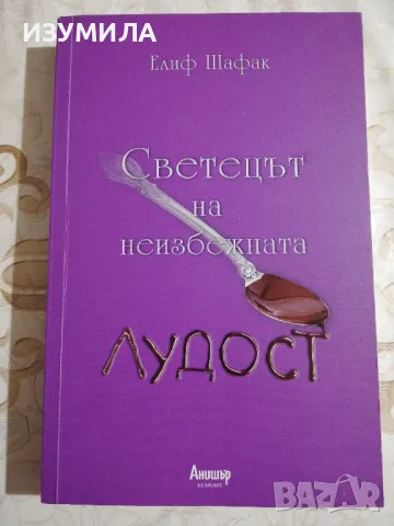 Светецът на неизбежната лудост - Елиф Шафак, снимка 1 - Художествена литература - 48522471