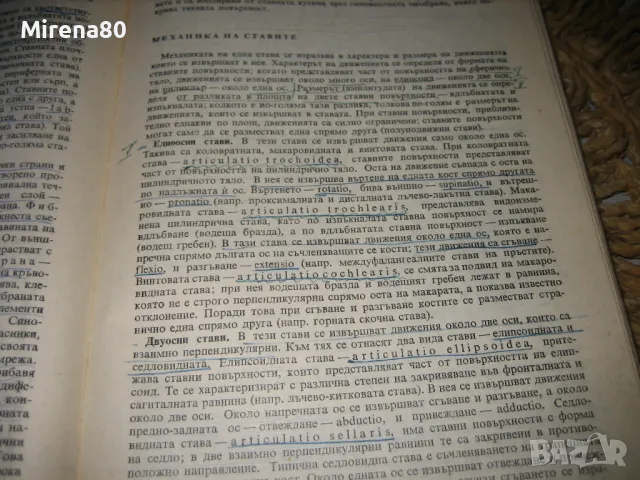 Анатомия на човека - 1982 г., снимка 5 - Специализирана литература - 48839941