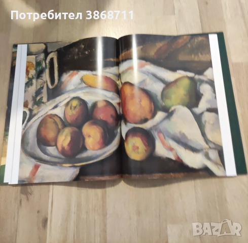 Сезан, снимка 4 - Специализирана литература - 51468524