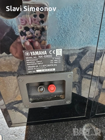 Yamaha NX-E800 top sustoqnie, снимка 5 - Тонколони - 52787947