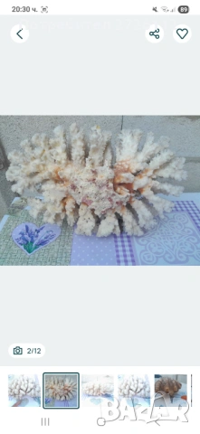 Морски артикули декорация , снимка 2 - Други - 53250087