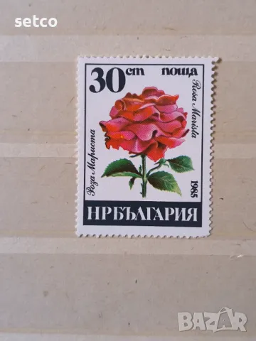 България 1985 Български рози, снимка 1 - Филателия - 47244976