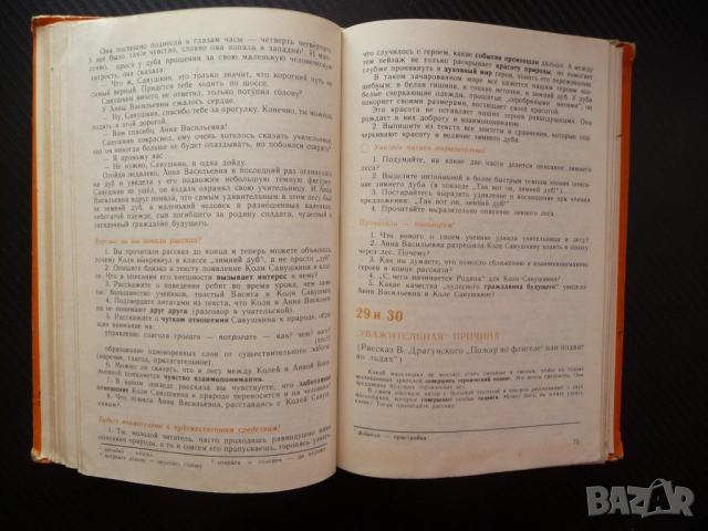 Русский язык и литературное чтение для 8. класса руски език изучаване литературно четене курс уроци , снимка 2 - Учебници, учебни тетрадки - 52516029