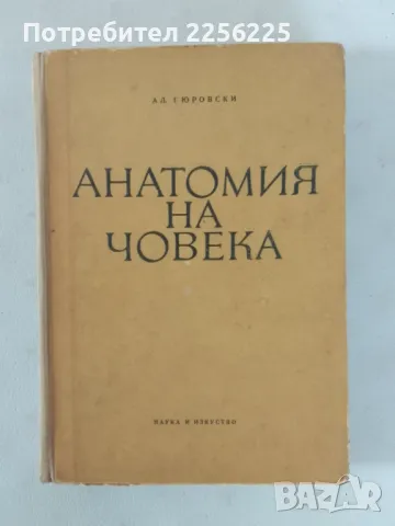 Анатомия на човека , снимка 1 - Други - 46941856