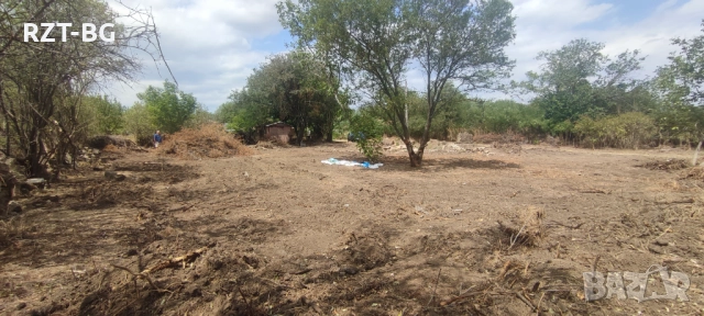 Почистване, косене, подкастряне, подръжка на терени, снимка 6 - Почистване на домове - 51525327