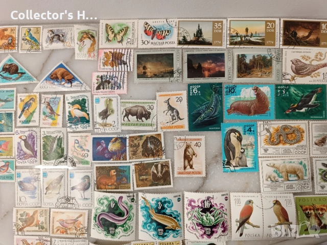 Сет от 95 марки с животни за 50 лв. общо, снимка 5 - Филателия - 53049132