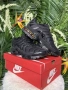 !НОВИ! Nike Air Max Plus 'TN' | Triple Black | + КУТИЯ, снимка 4