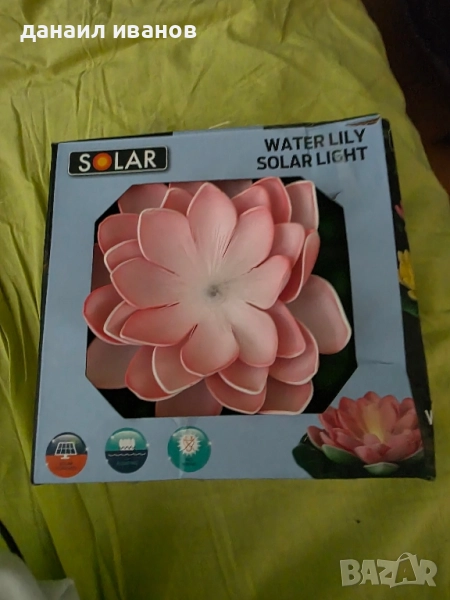 розово соларно цвете , снимка 1