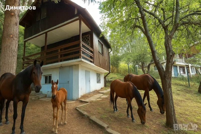 Продава къща и дворно място до язовир Искър, м. Циментово кладенче, снимка 1