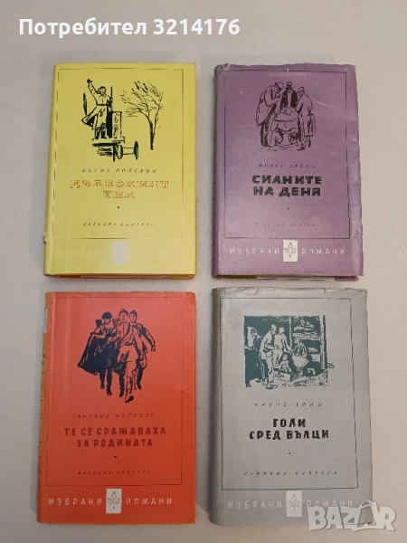 Дълбокият тил - Борис Полевой, снимка 1