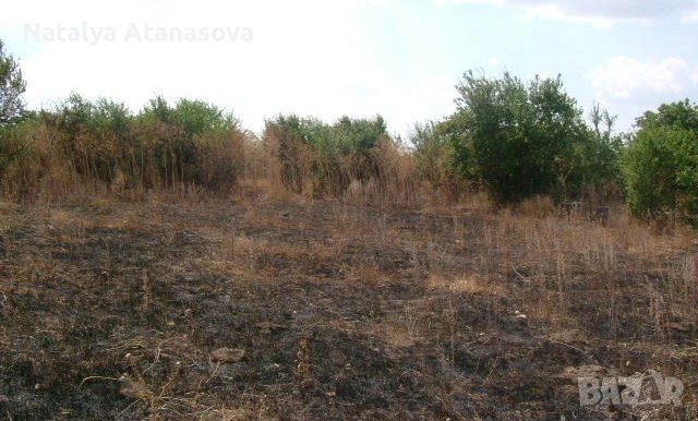 Парцел за продажба в Бдинци, Добрич, снимка 9 - Парцели - 53635006