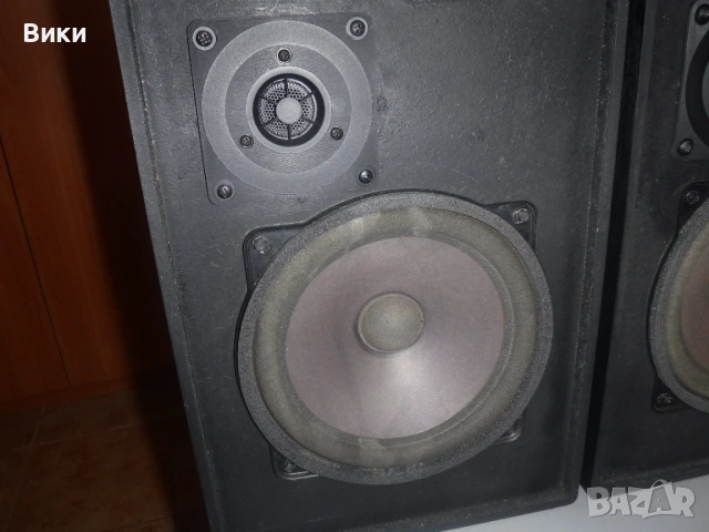 EXPERT  T100  4 ома  70/100 вата, снимка 2 - Тонколони - 53690026