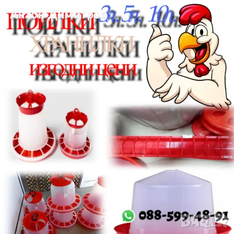 Птици, снимка 1 - За селскостопански - 48916003