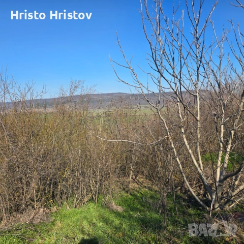 Продавам дървена вила над Белия кон и Рай, снимка 3 - Вили - 53897164