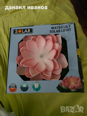 розово соларно цвете , снимка 1