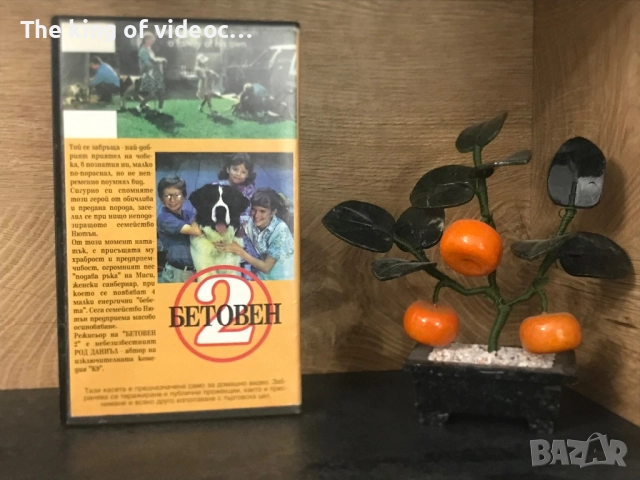 Видеокасета Бетовен 2 VHS, снимка 2 - Други жанрове - 52172919