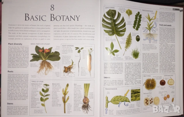 The Royal Horticultural Society Encyclopedia of Gardening, снимка 8 - Енциклопедии, справочници - 53937419