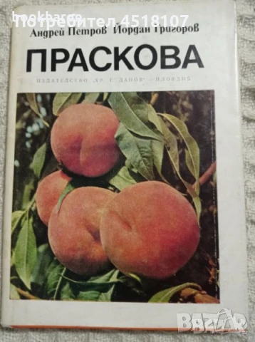 КНИГА ЗА РАСТЕНИЯ/ГЪБИ, снимка 3 - Други - 51431656