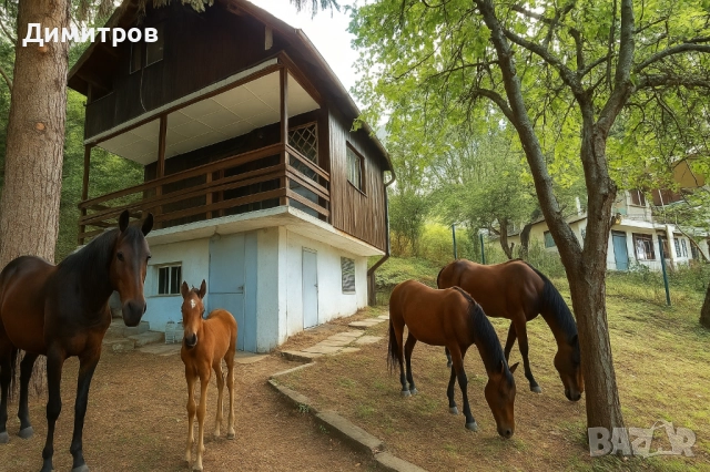 Продава къща и дворно място до язовир Искър, м. Циментово кладенче, снимка 1