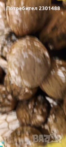Продавам пресни орехи, снимка 2 - Домашни продукти - 52367066