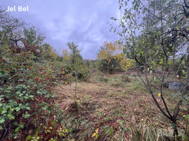 Две Къща с 3дка Двор в Казанлък, Вилна Зона "Старите Лозя" и Тюлбето, снимка 15 - Къщи - 52512610