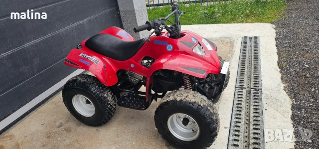 Атв 100кубика внос от Германия , снимка 4 - Мотоциклети и мототехника - 54273784