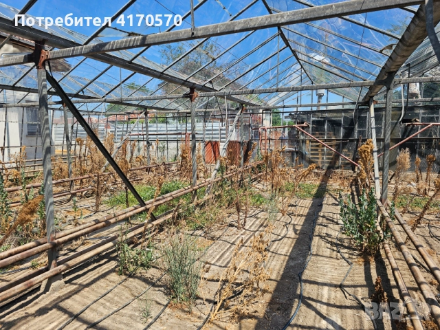 Продава се стъклена оранжерия, снимка 8 - Оранжерии - 51654998